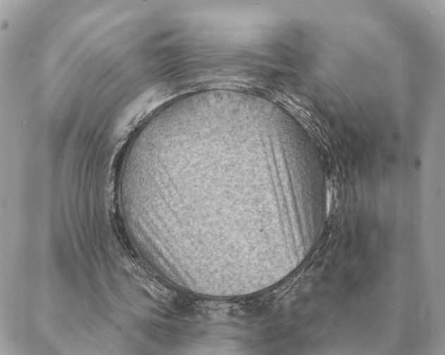 X0000088830339200706281801