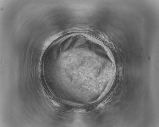 X0000088830340200706281801