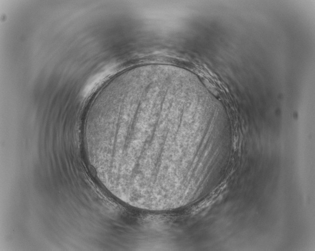 X0000088830341200706281801