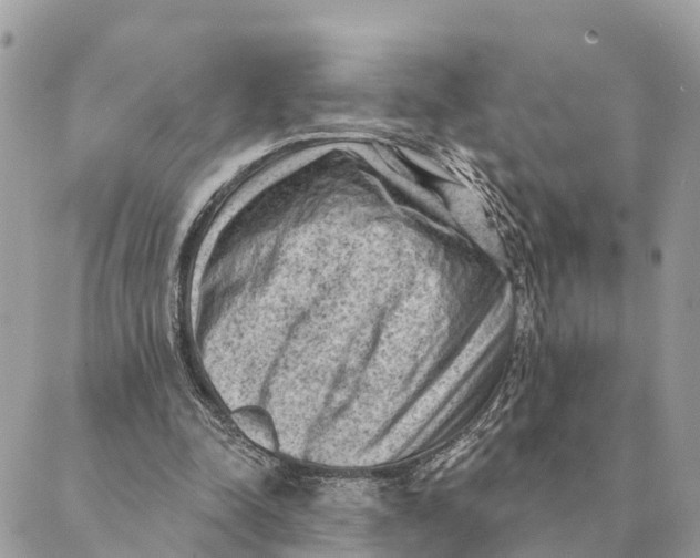 X0000088830342200706281801