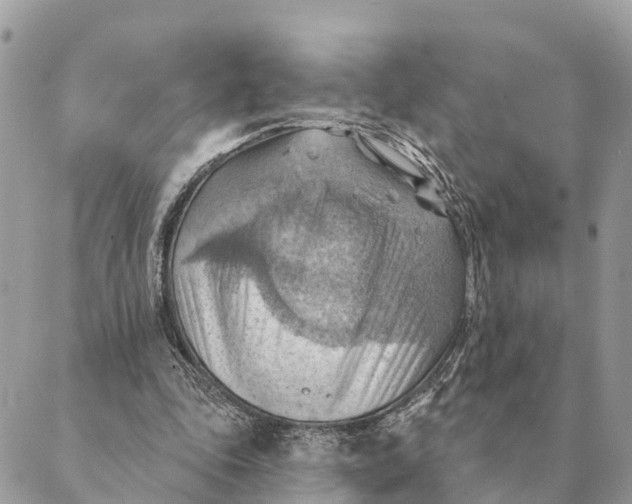 X0000088830343200706281801