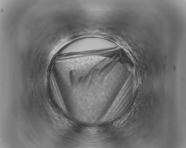 X0000088830344200706281801