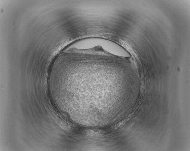 X0000088830346200706281801