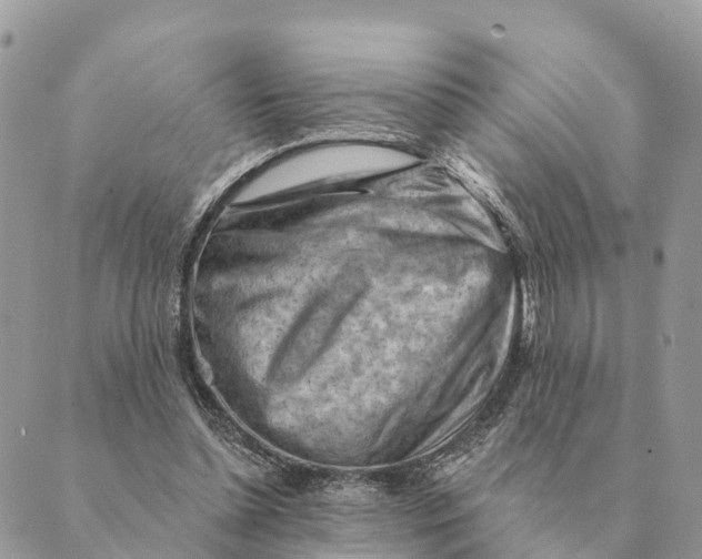 X0000088830348200706281801