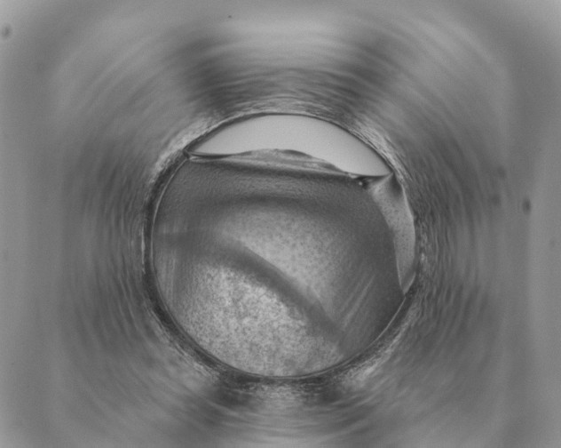 X0000088830349200706281801