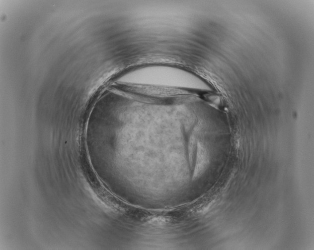 X0000088830352200706281801