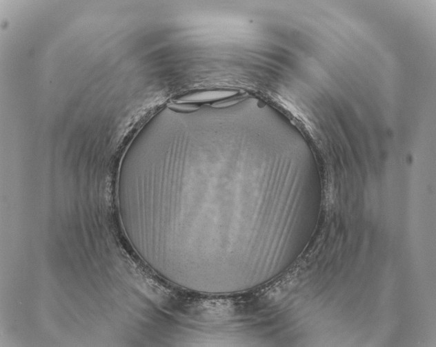 X0000088830353200706281801