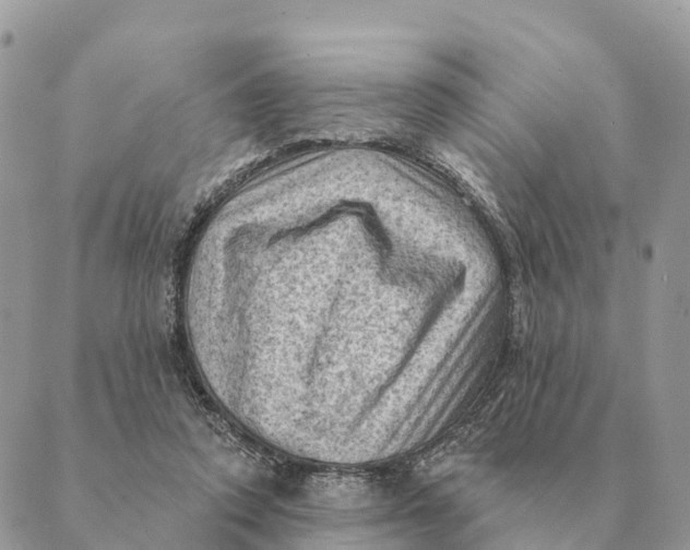 X0000088830354200706281801