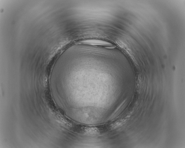 X0000088830355200706281801