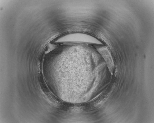 X0000088830356200706281801