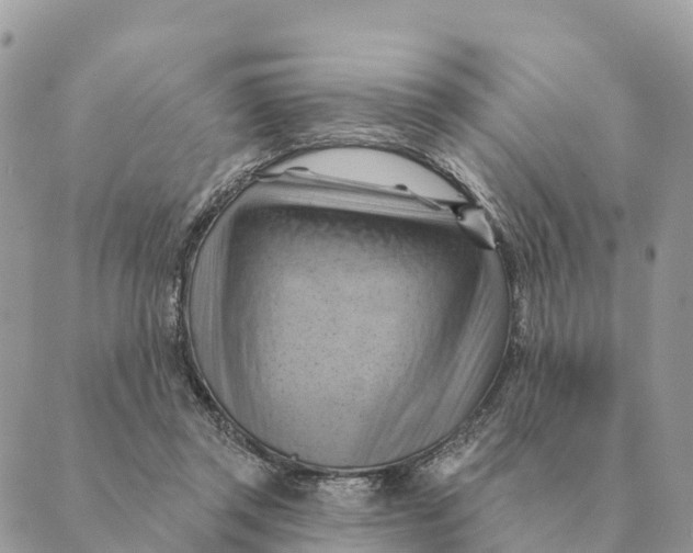 X0000088830357200706281801