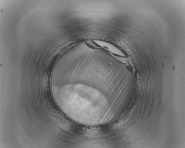 X0000088830359200706281802