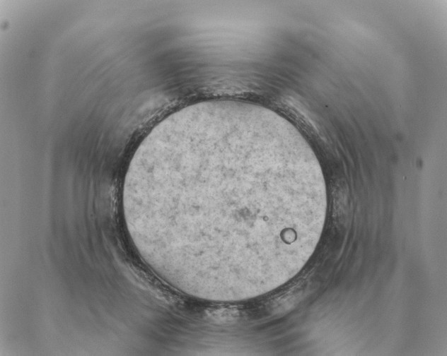 X0000088830362200706281802