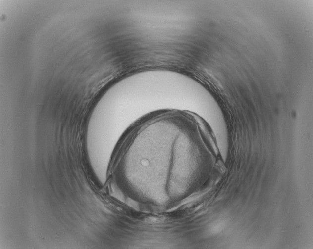 X0000088830364200706281802