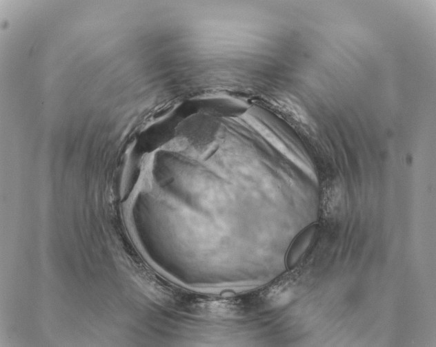 X0000088830365200706281802