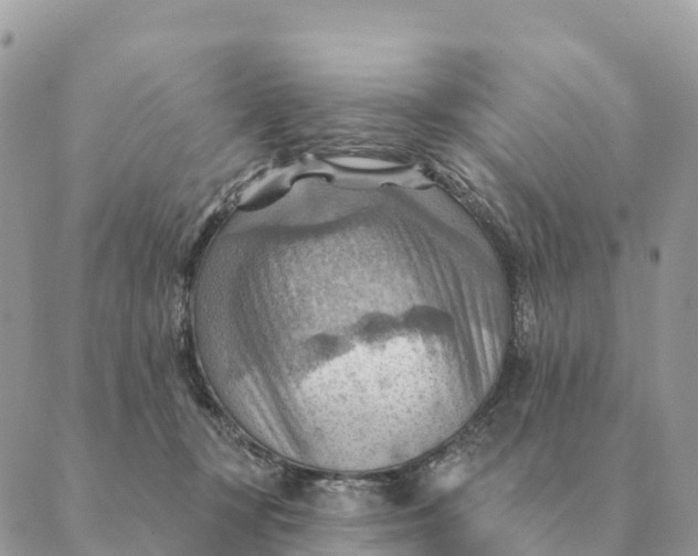 X0000088830367200706281802