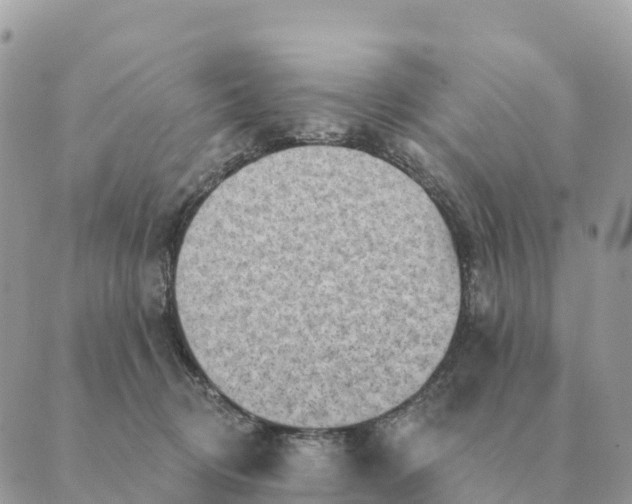 X0000088830370200706281802