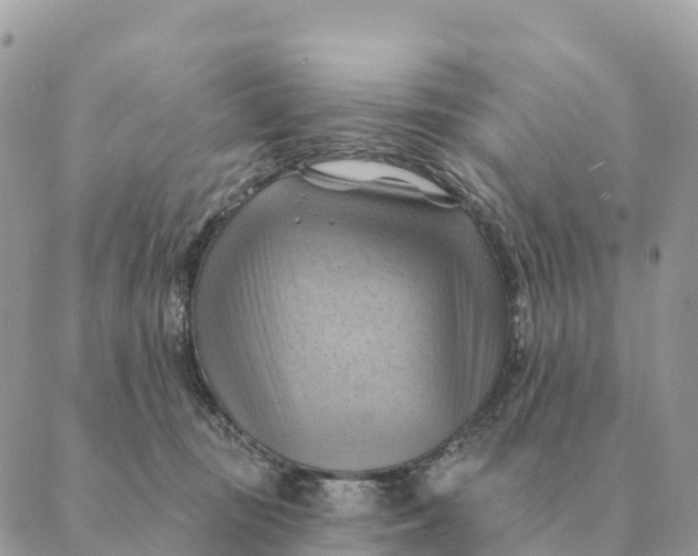 X0000088830371200706281802