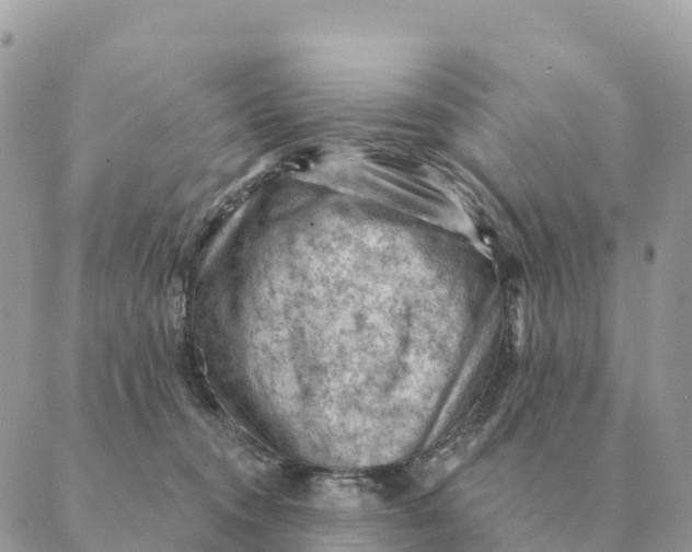 X0000088830372200706281802