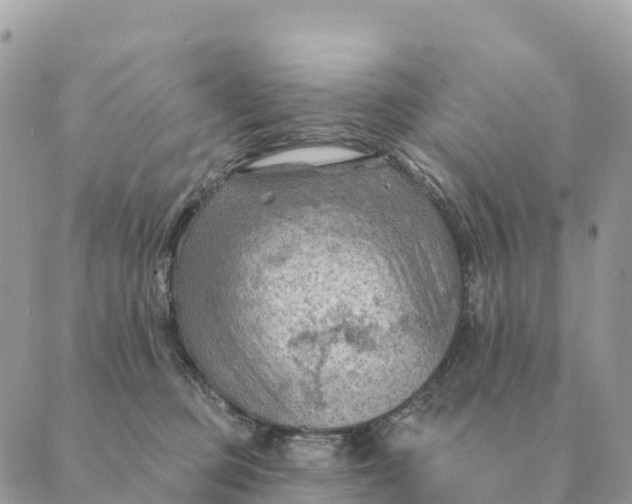 X0000088830373200706281802