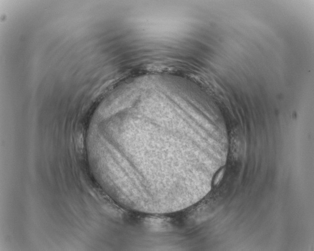 X0000088830375200706281802