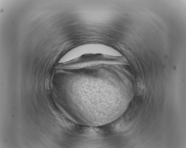 X0000088830379200706281802