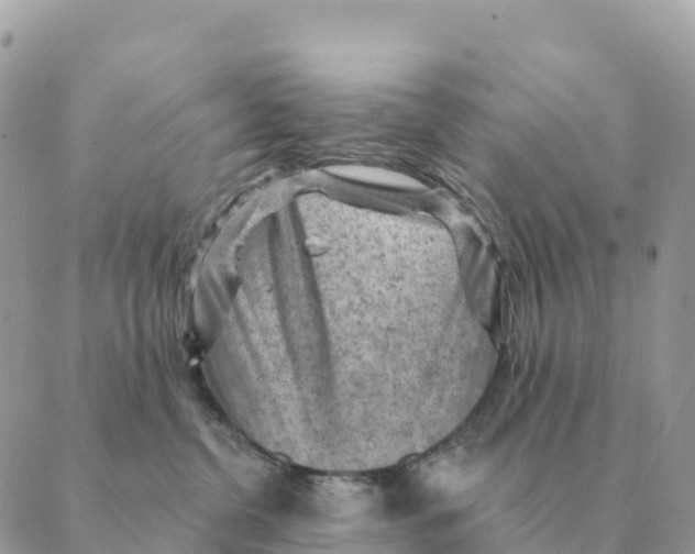 X0000088830380200706281802