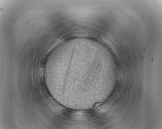 X0000088830382200706281802