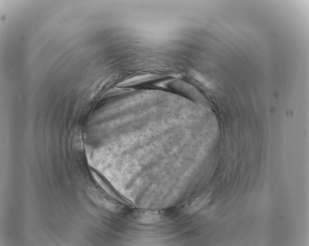 X0000088830384200706281802