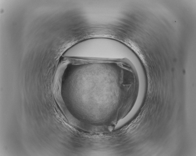 X0000088830385200706281801