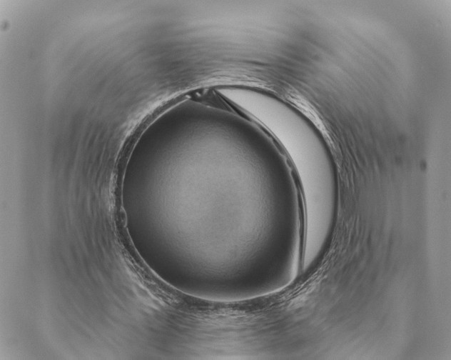 X0000088830387200706281801