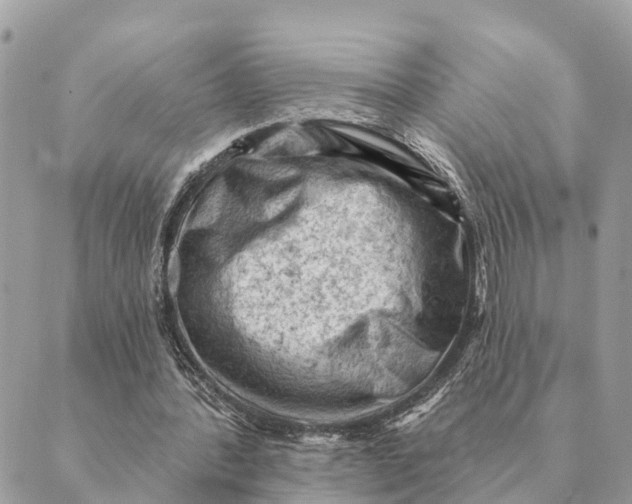 X0000088830388200706281801