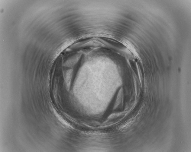 X0000088830389200706281801