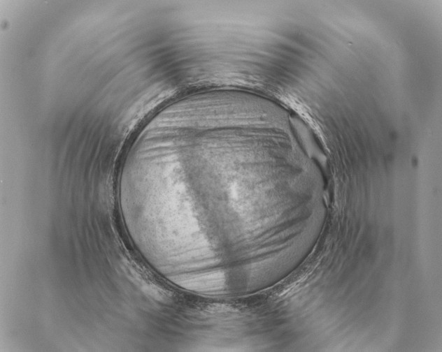 X0000088830390200706281801