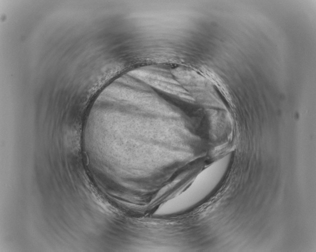 X0000088830393200706281801