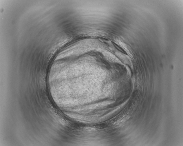 X0000088830394200706281801