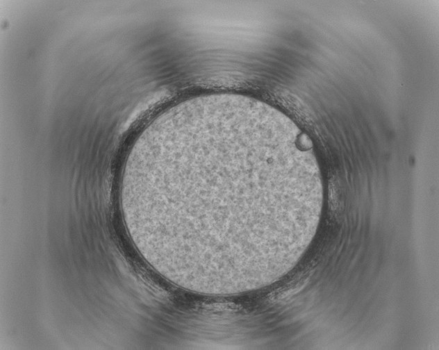 X0000088830396200706281801