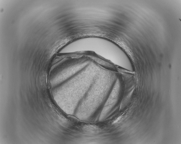 X0000088830397200706281801