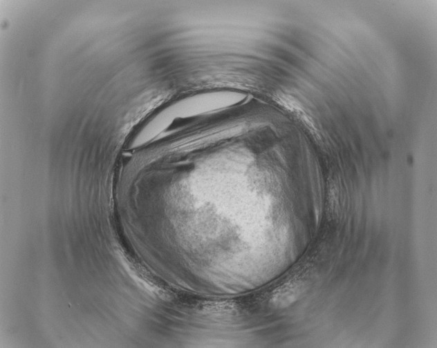 X0000088830398200706281801