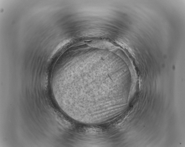 X0000088830400200706281801