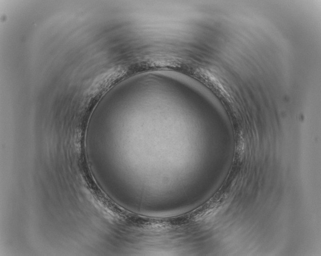 X0000088830402200706281801