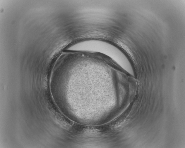 X0000088830403200706281801