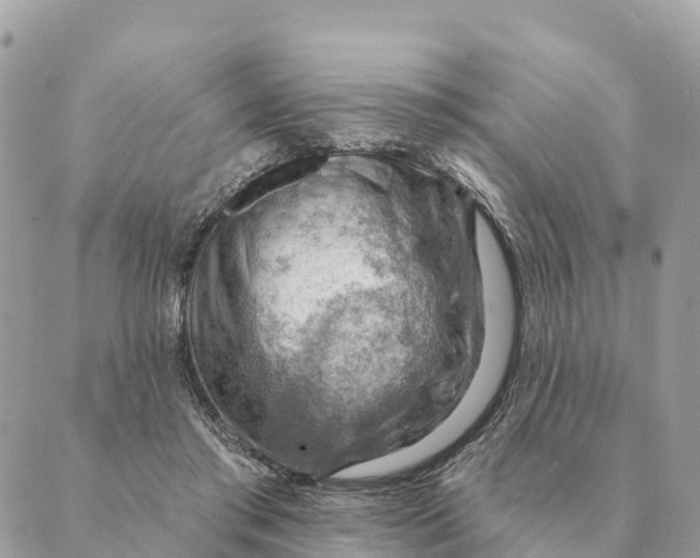 X0000088830405200706281801