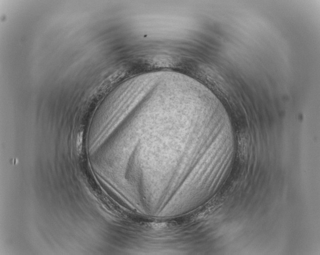 X0000088830406200706281801