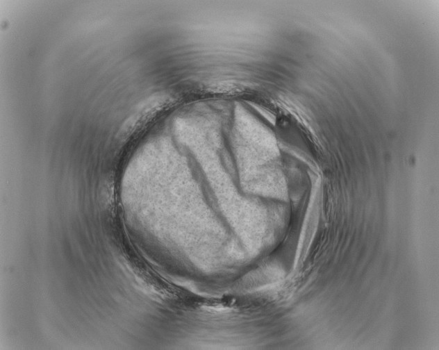 X0000088830407200706281801