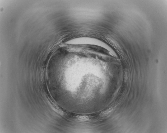 X0000088830409200706281801