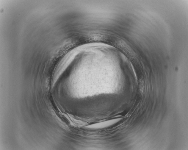 X0000088830410200706281801