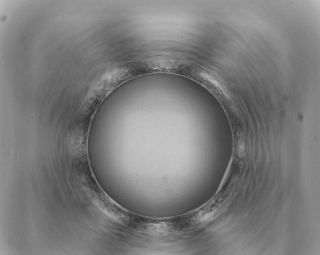 X0000088830411200706281801