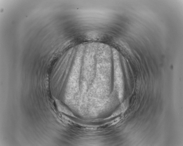 X0000088830413200706281801