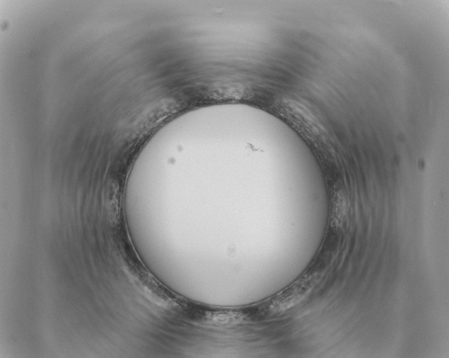 X0000088830414200706281801